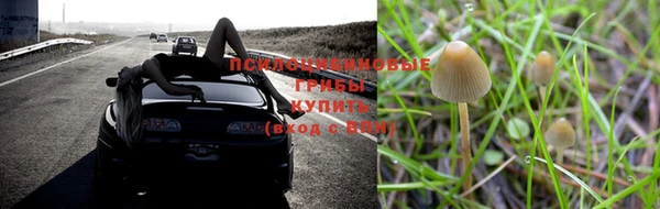 кокаин Дмитровск