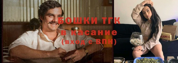 тгк Гусев