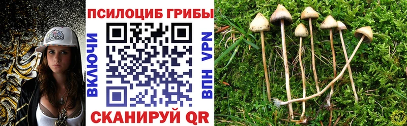 Галлюциногенные грибы Psilocybine cubensis  OMG онион  Обнинск 